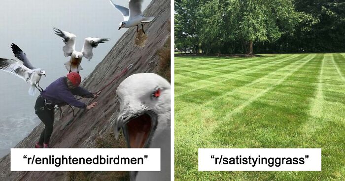 42 Of The Weirdest Subreddits That Are For Some Reason Very Popular