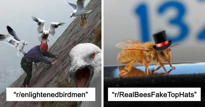 42 Of The Weirdest Subreddits That Are For Some Reason Very Popular