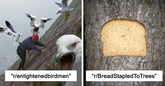 42 Of The Weirdest Subreddits That Are For Some Reason Very Popular