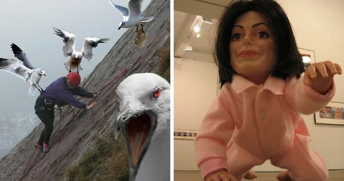 42 Of The Weirdest Subreddits That Are For Some Reason Very Popular