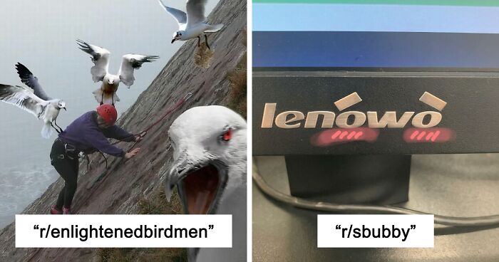 42 Of The Weirdest Subreddits That Are For Some Reason Very Popular