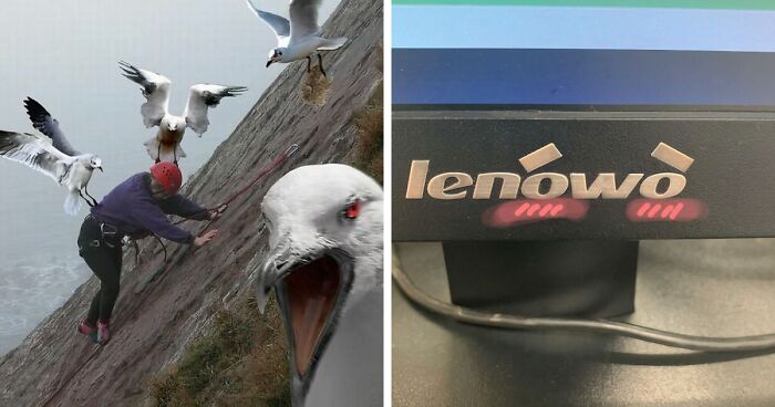 42 Of The Weirdest Subreddits That Are For Some Reason Very Popular