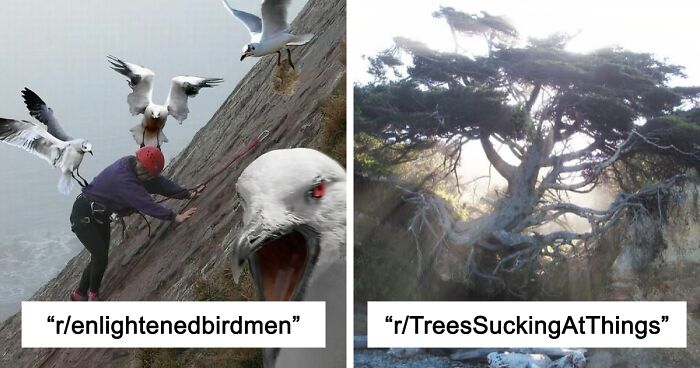 42 Of The Weirdest Subreddits That Are For Some Reason Very Popular