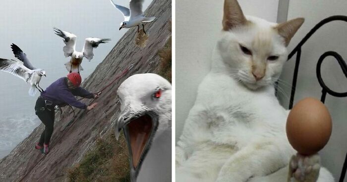 42 Of The Weirdest Subreddits That Are For Some Reason Very Popular