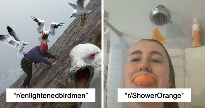 42 Of The Weirdest Subreddits That Are For Some Reason Very Popular