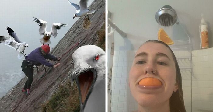 42 Of The Weirdest Subreddits That Are For Some Reason Very Popular