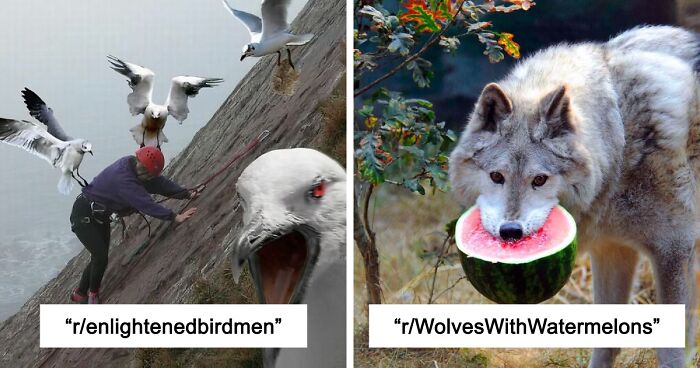 42 Of The Weirdest Subreddits That Are For Some Reason Very Popular