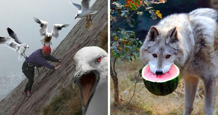 42 Of The Weirdest Subreddits That Are For Some Reason Very Popular