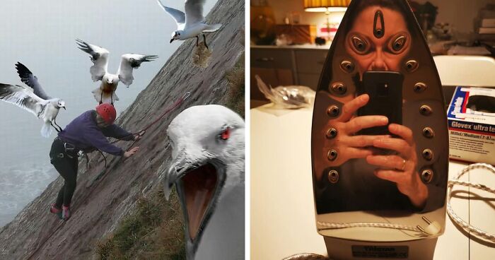 42 Of The Weirdest Subreddits That Are For Some Reason Very Popular