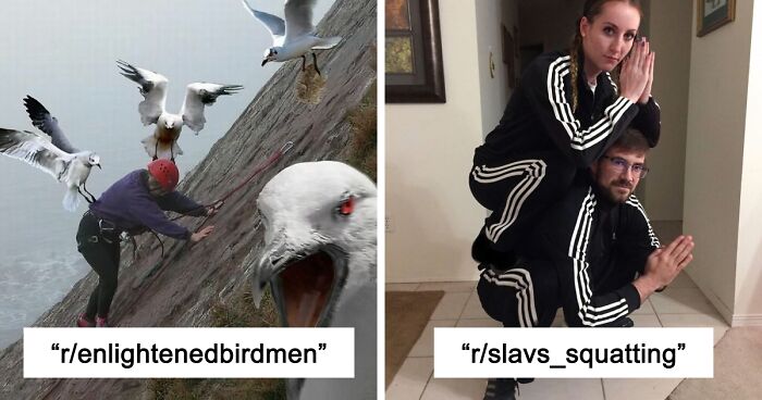 42 Of The Weirdest Subreddits That Are For Some Reason Very Popular