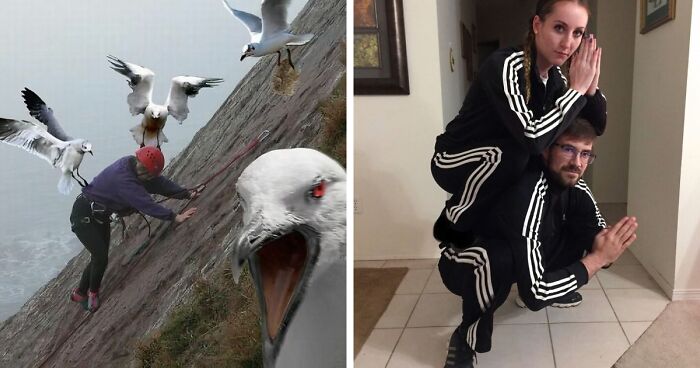 42 Of The Weirdest Subreddits That Are For Some Reason Very Popular