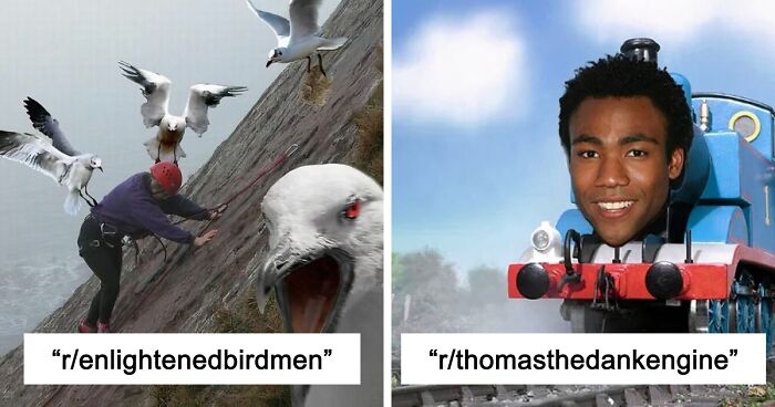 42 Of The Weirdest Subreddits That Are For Some Reason Very Popular