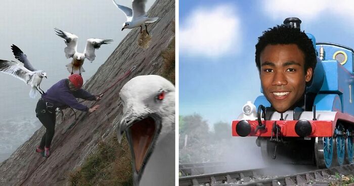 42 Of The Weirdest Subreddits That Are For Some Reason Very Popular