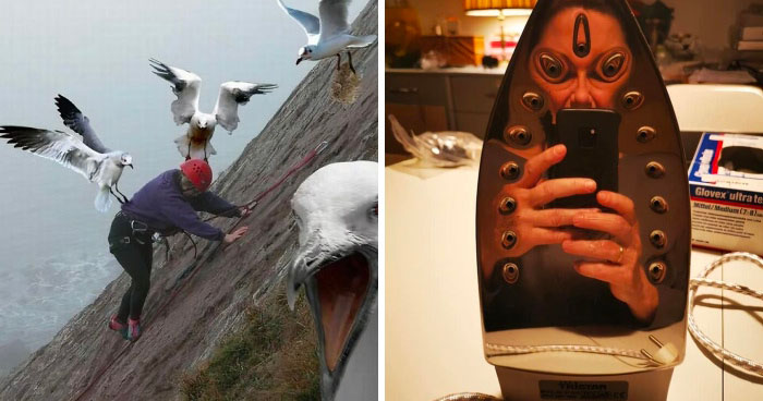 42 Of The Weirdest Subreddits That Are For Some Reason Very Popular