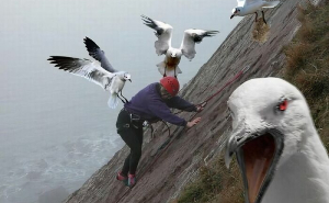 42 Subreddits That Might Make You Say: “Wait, What?”