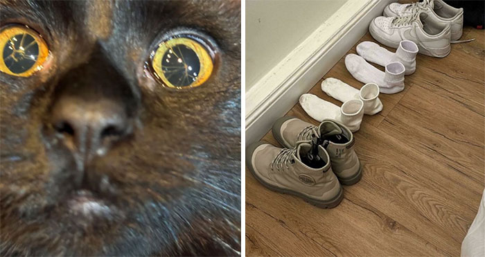 79 Times People Saw Something Weird And Unexplainable, And Just Had To Share (New Pics)