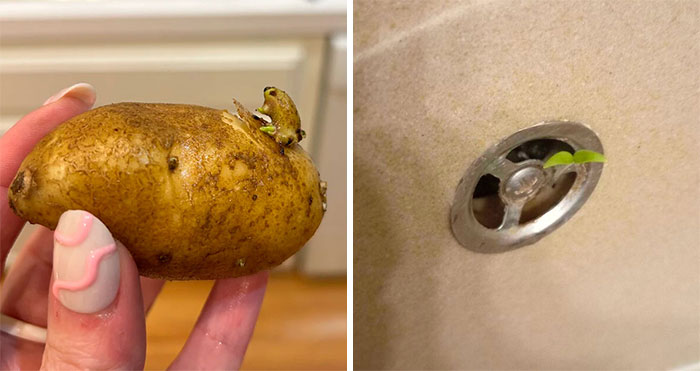 81 People Who Experienced Strange Things And Have No Logical Way To Explain Them (New Pics)