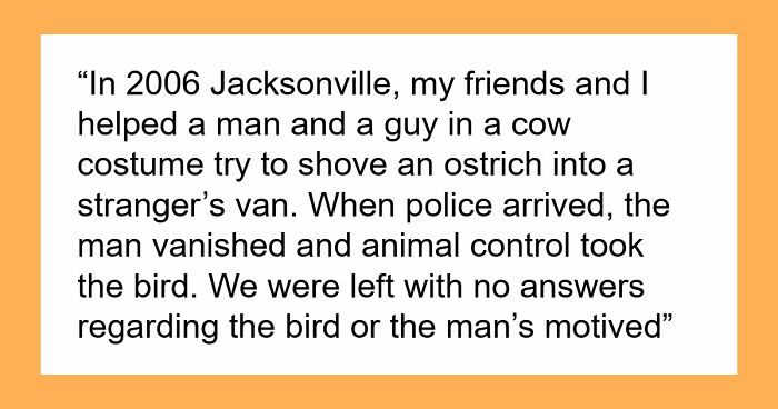 28 Bizarre Encounters Folks Had That Left Them Questioning For Years What They Actually Saw