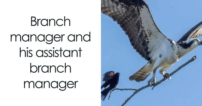 61 White-Collar Memes That Are Worth Scrolling Through During Your Break