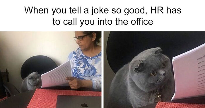 61 Posts From “White Collar Humor” That You Might Chuckle At From Your Cubicle