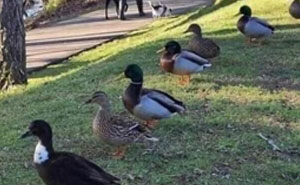 61 White-Collar Memes That Are Worth Scrolling Through During Your Break