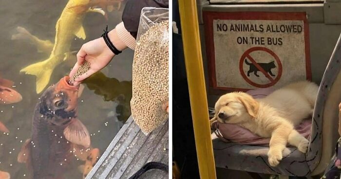 113 ‘Blessed Images’ That May Turn Your Day Around And Make It Better (New Pics)