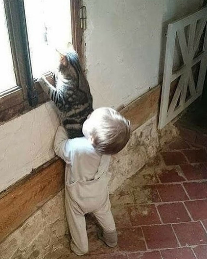 Toddler holding a cat up to a window, showcasing uplifting moments and good in the world.