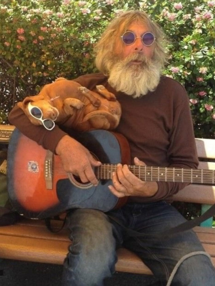 Man with a beard playing guitar on a bench with a dog wearing sunglasses, capturing uplifting moments in the world.