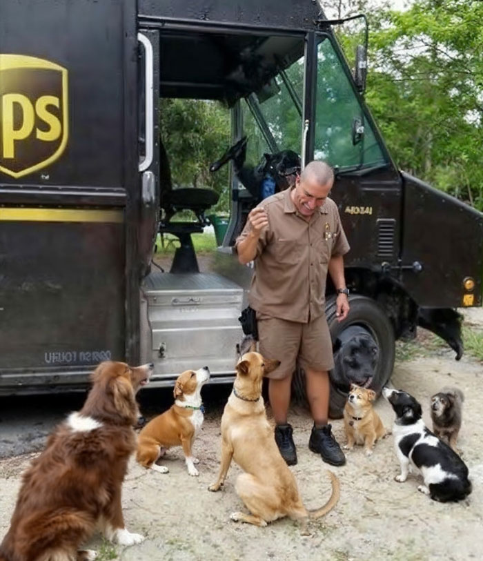 UPS driver interacting with multiple dogs outside delivery truck, showing uplifting moments of kindness and connection.