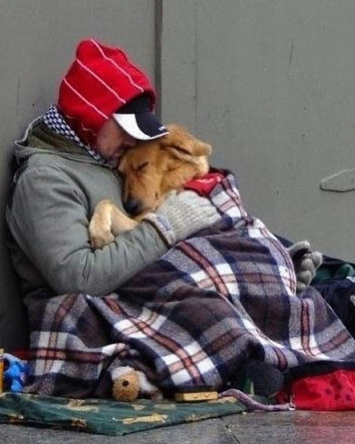 Person in red hood hugging dog wrapped in a blanket on the street, showing uplifting moments of kindness and warmth.