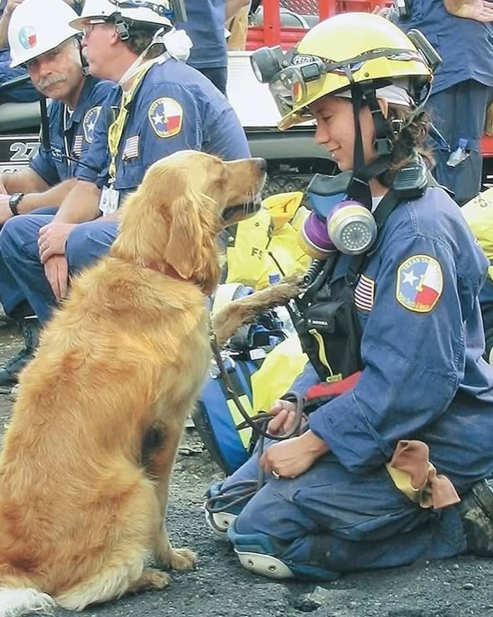 Rescue worker in safety gear sharing a moment with a golden retriever, showcasing uplifting moments of kindness.