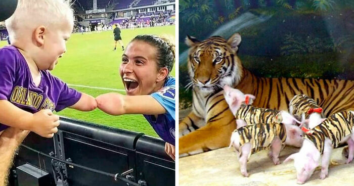 67 Wholesome Posts That Might Make You Smile When You Need It Most