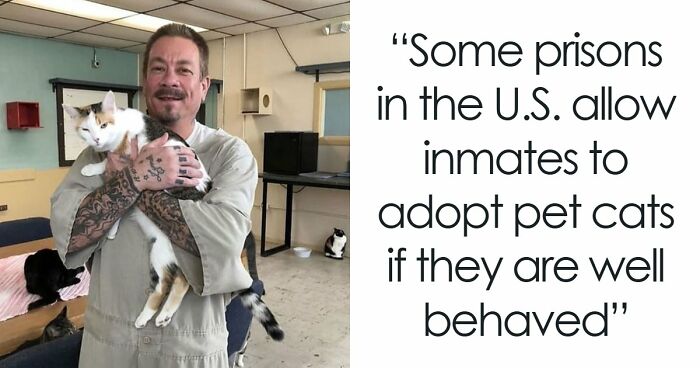 If You’re Questioning If Anything Good Is Left In The World, Here Are 67 Uplifting Posts You Might Need