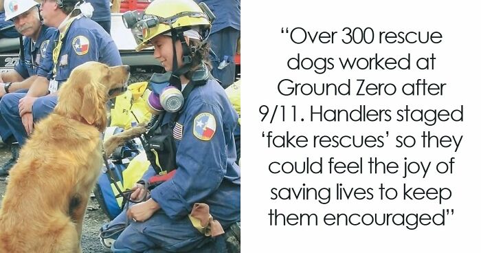 67 Wholesome Posts That Might Make You Smile When You Need It Most