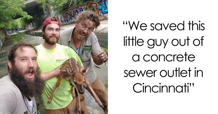 67 Pics Of Animals Who Were Saved From Awful Conditions And Got A Second Chance In Life