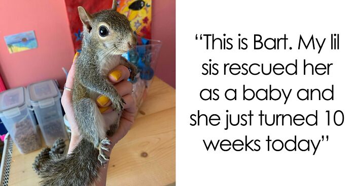 67 Pics Of Animals Who Were Saved From Awful Conditions And Got A Second Chance In Life