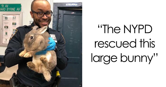 67 Pics Of Animals Who Were Saved From Awful Conditions And Got A Second Chance In Life