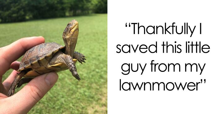 67 Pics Of Animals Who Were Saved From Awful Conditions And Got A Second Chance In Life