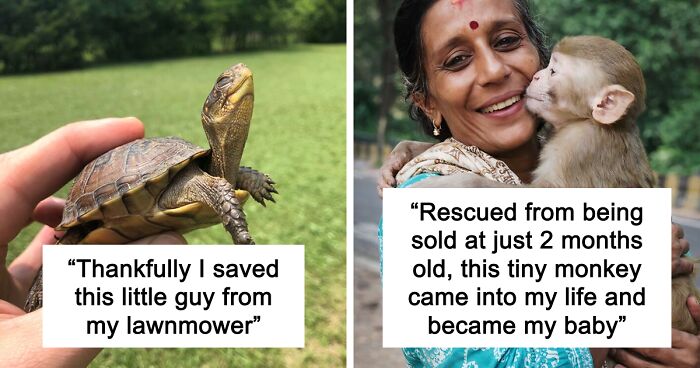 67 Pics Of Animals Who Were Saved From Awful Conditions And Got A Second Chance In Life