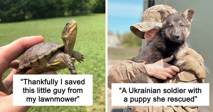 67 Pics Of Animals Who Were Saved From Awful Conditions And Got A Second Chance In Life