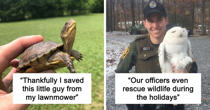 67 Pics Of Animals Who Were Saved From Awful Conditions And Got A Second Chance In Life