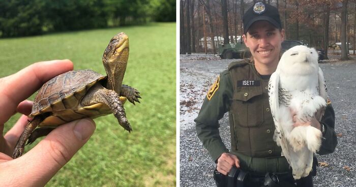 67 Pics Of Animals Who Were Saved From Awful Conditions And Got A Second Chance In Life