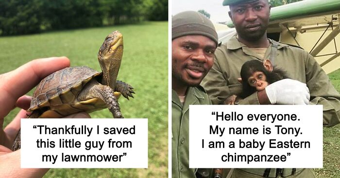 67 Pics Of Animals Who Were Saved From Awful Conditions And Got A Second Chance In Life