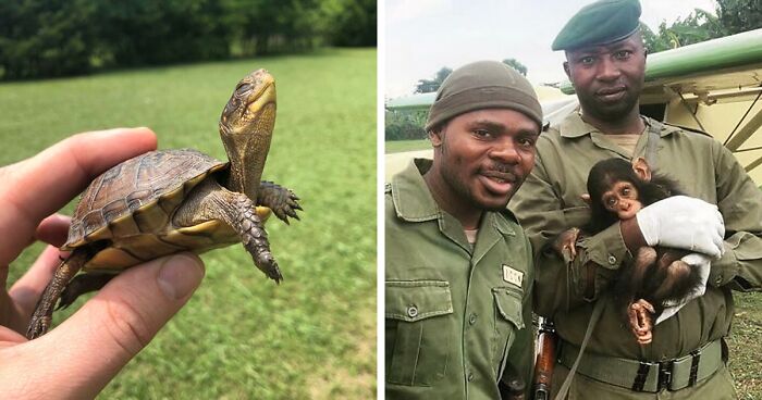 67 Pics Of Animals Who Were Saved From Awful Conditions And Got A Second Chance In Life