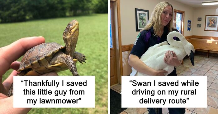 67 Pics Of Animals Who Were Saved From Awful Conditions And Got A Second Chance In Life