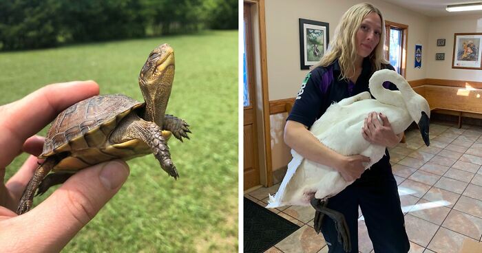 67 Pics Of Animals Who Were Saved From Awful Conditions And Got A Second Chance In Life