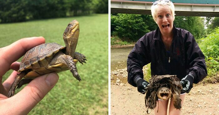 67 Pics Of Animals Who Were Saved From Awful Conditions And Got A Second Chance In Life