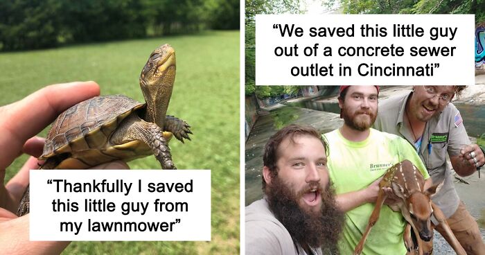 67 Pics Of Animals Who Were Saved From Awful Conditions And Got A Second Chance In Life