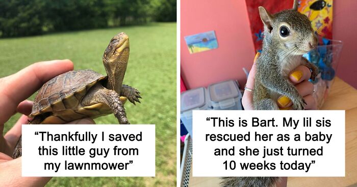 67 Pics Of Animals Who Were Saved From Awful Conditions And Got A Second Chance In Life