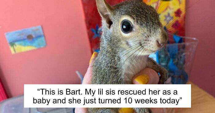 67 Pics Of Animals Who Were Saved From Awful Conditions And Got A Second Chance In Life